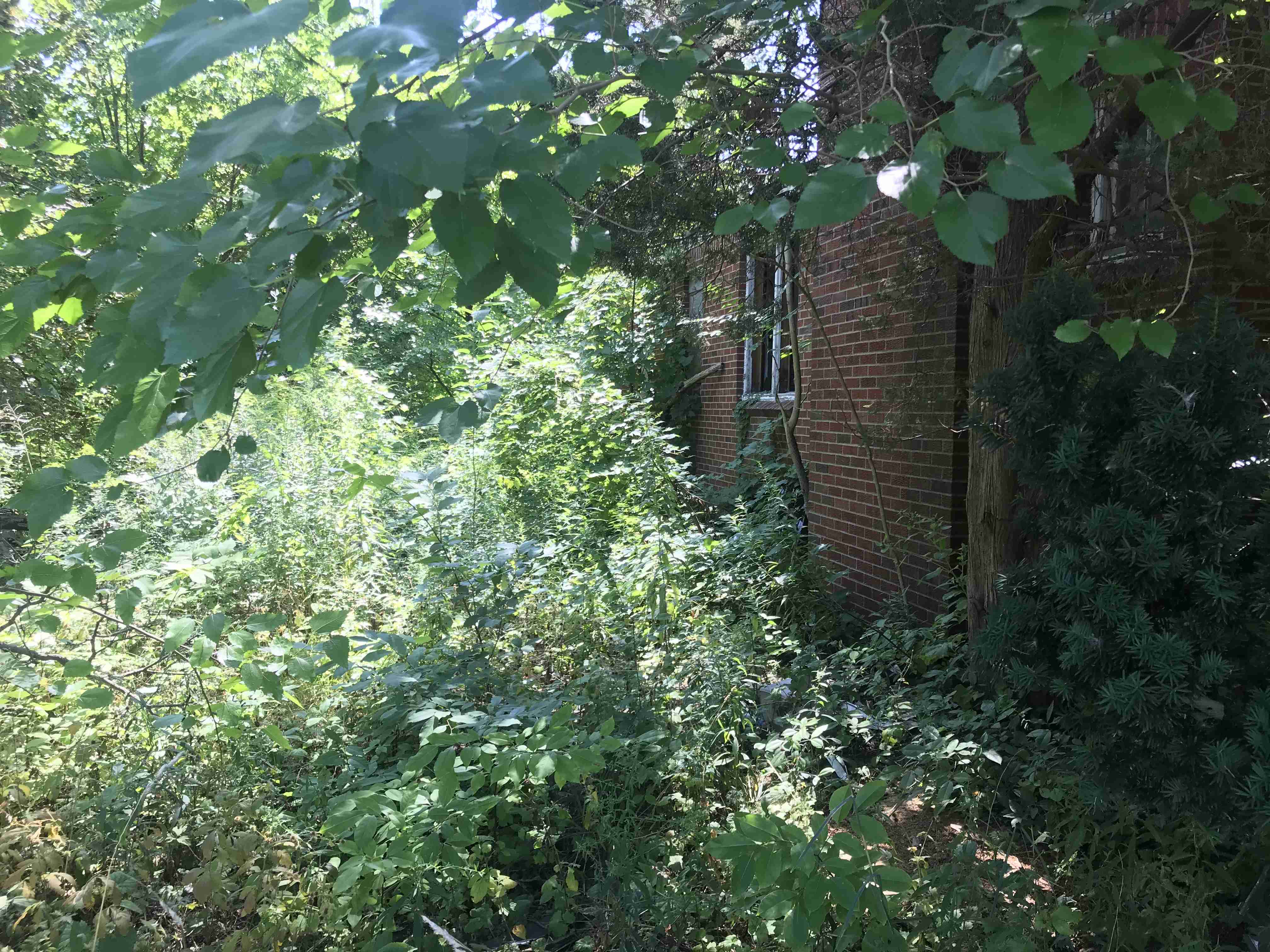 Photo Aug 21, 1 13 22 PM (1).jpg